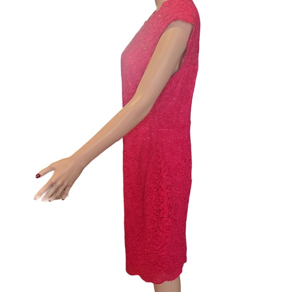 Miusol Size L Raspberry Pink Lace Zip up Sheath Dress TINY FLAW (marked 1X) - Picture 4 of 13
